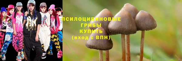 ПСИЛОЦИБИНОВЫЕ ГРИБЫ Богданович