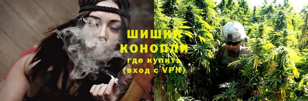 СК Михайловск
