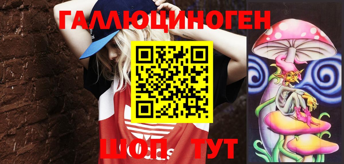 Псилоцибиновые грибы Psilocybine cubensis Старая Купавна