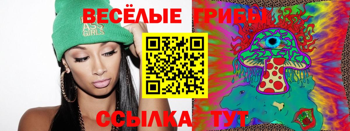 Старая Купавна  Псилоцибиновые грибы GOLDEN TEACHER  Вход с VPN 